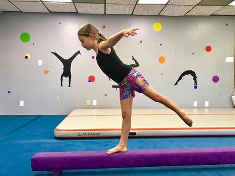 Progression Gymnastics, LLC photo 3