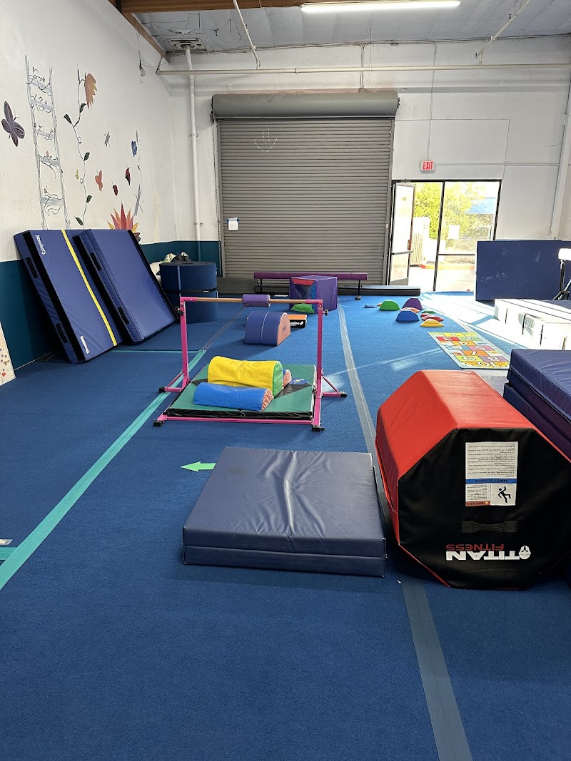 Progression Gymnastics, LLC photo 2