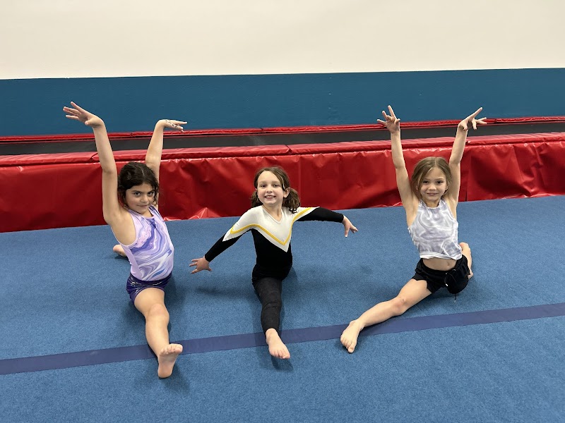 Photo of Progression Gymnastics, LLC