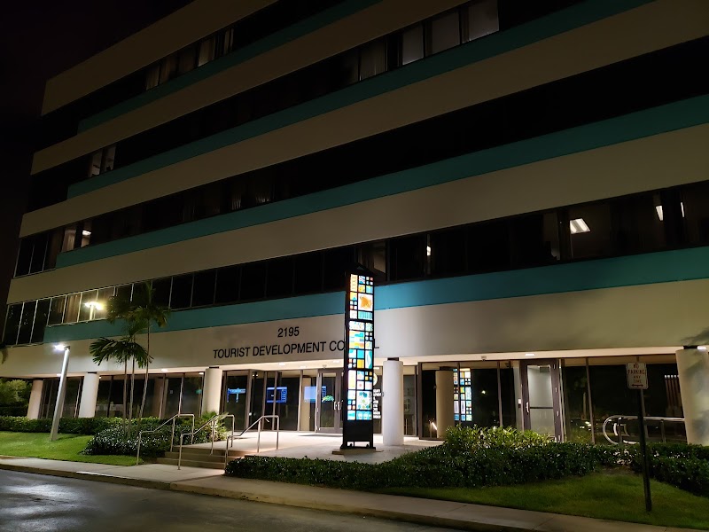 The Palm Beaches photo 4