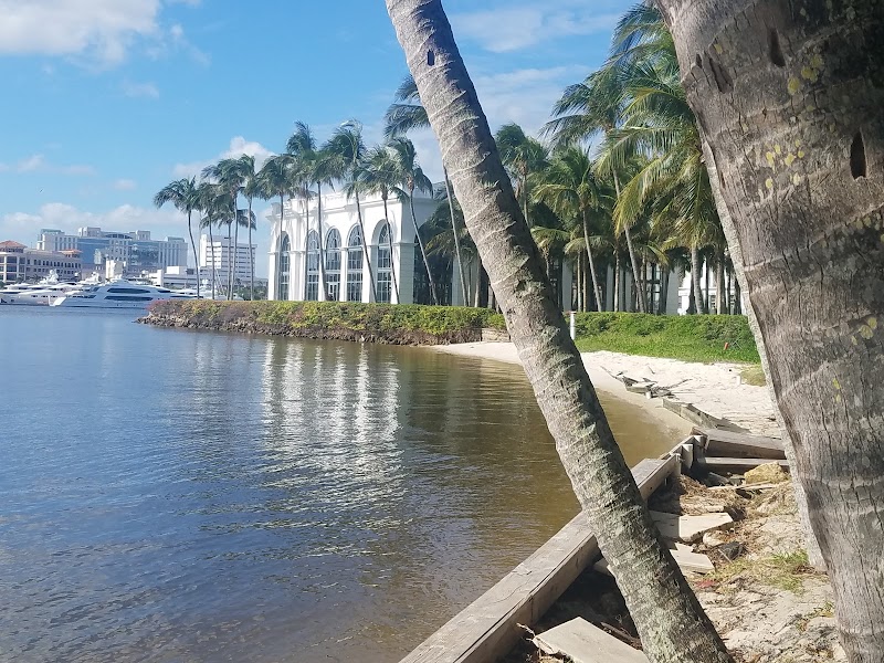 The Palm Beaches photo 5