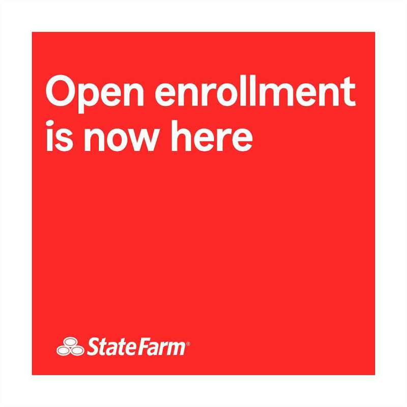 Rod Villamor - State Farm Insurance Agent photo 3