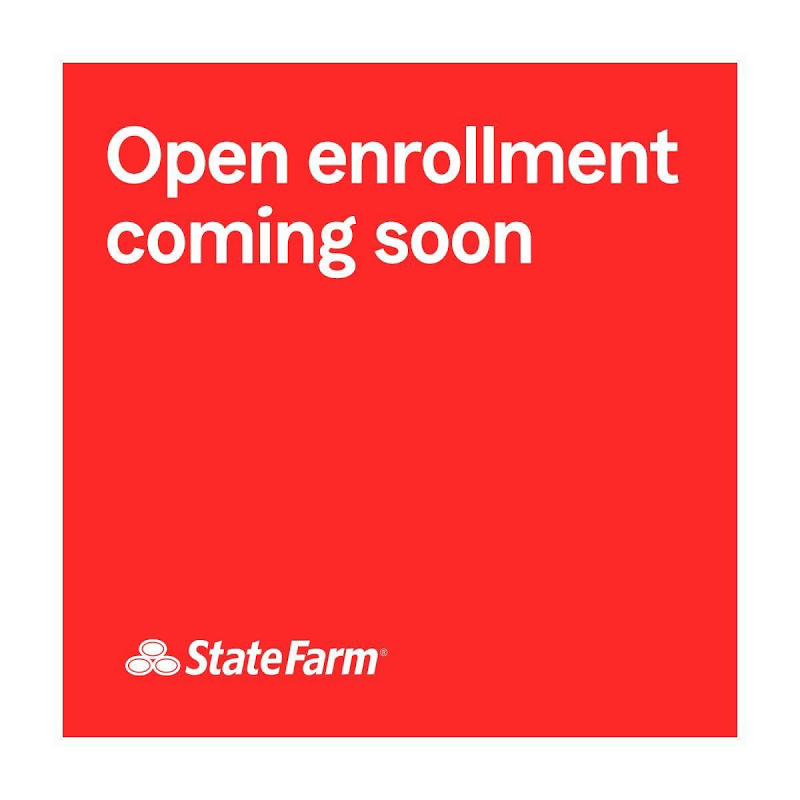 Rod Villamor - State Farm Insurance Agent photo 4