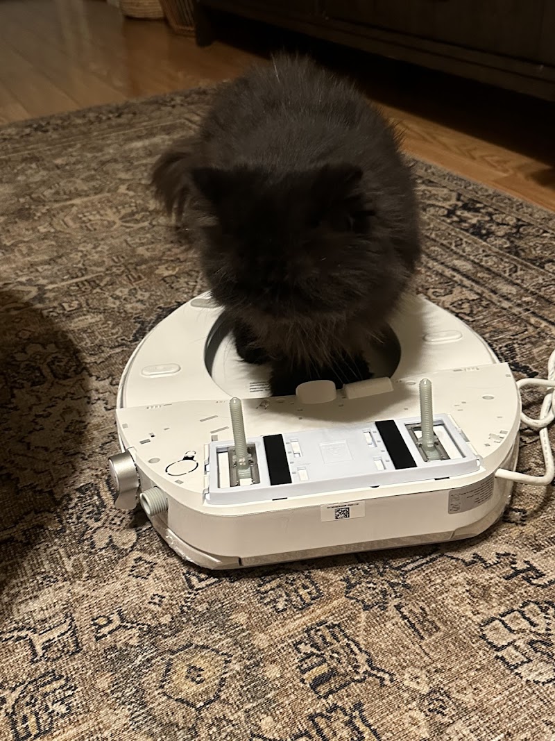 Photo of Dr. Brisbain Pucan