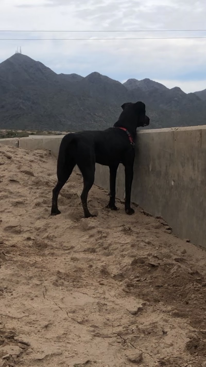 Horizon Dog Park photo 5