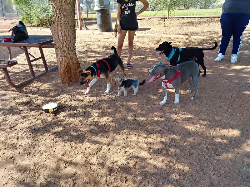 Horizon Dog Park photo 2