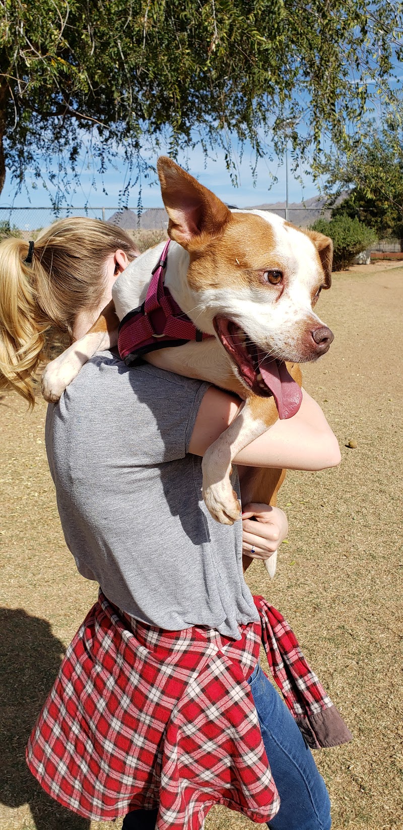Horizon Dog Park photo 4