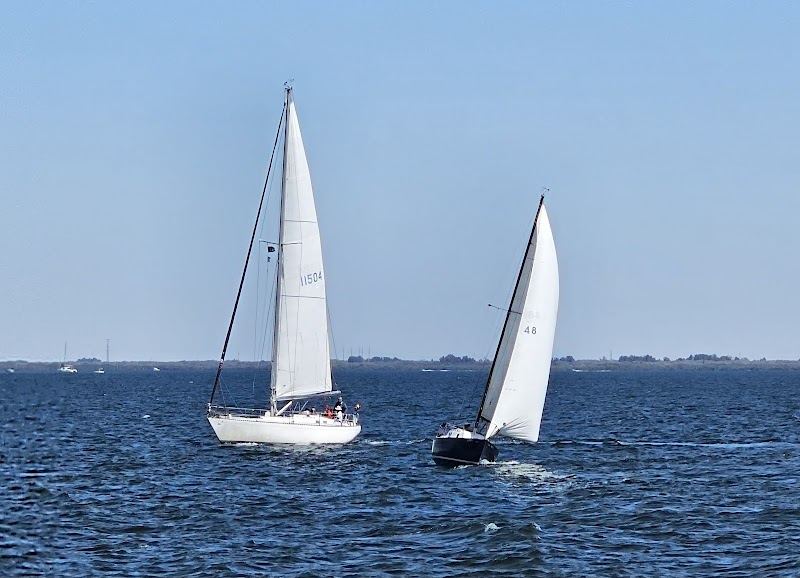 Tampa Sailing Squadron photo 2