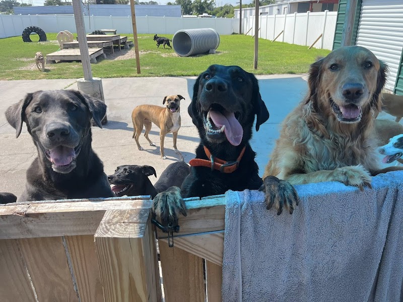 Photo of Paw Printz Inc.