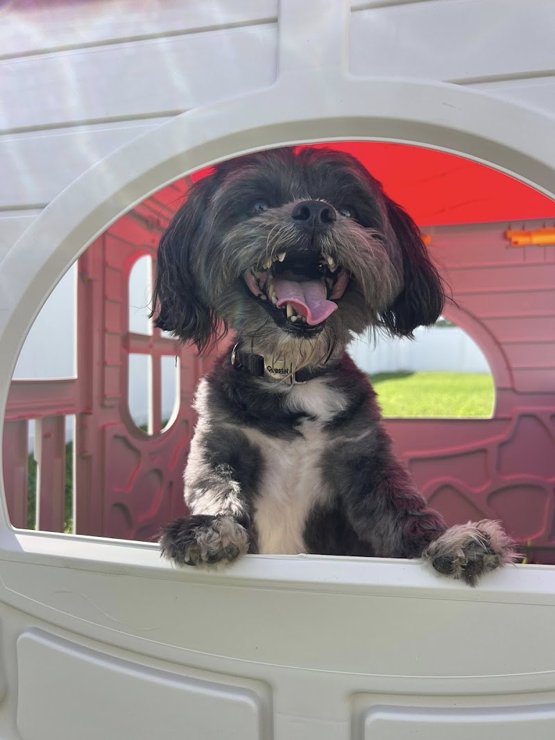 Paw Printz Inc. photo 4