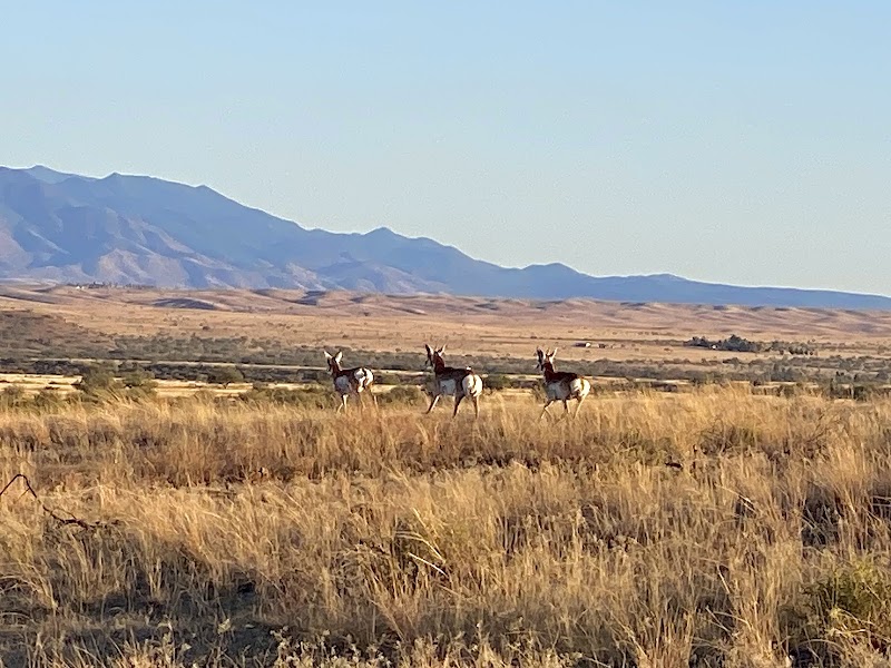 Photo of Empire Ranch Foundation