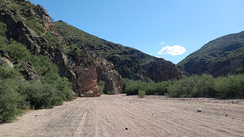 Oracle Adventure Rentals photo 4