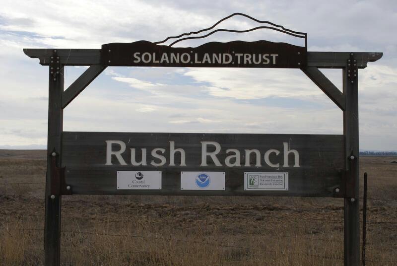 Rush Ranch Open Space photo 2
