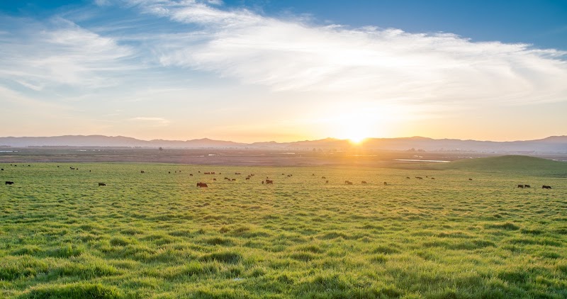 Rush Ranch Open Space photo 3