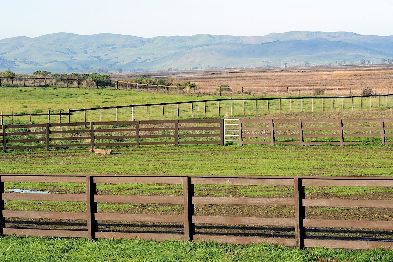 Rush Ranch Open Space photo 4