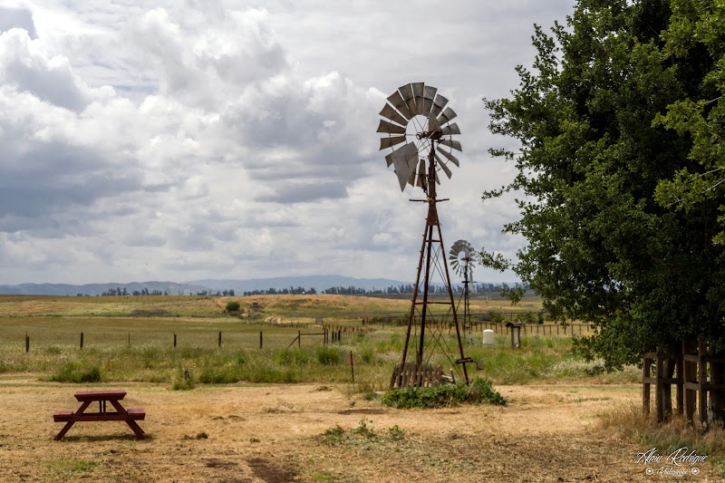 Photo of Rush Ranch Open Space