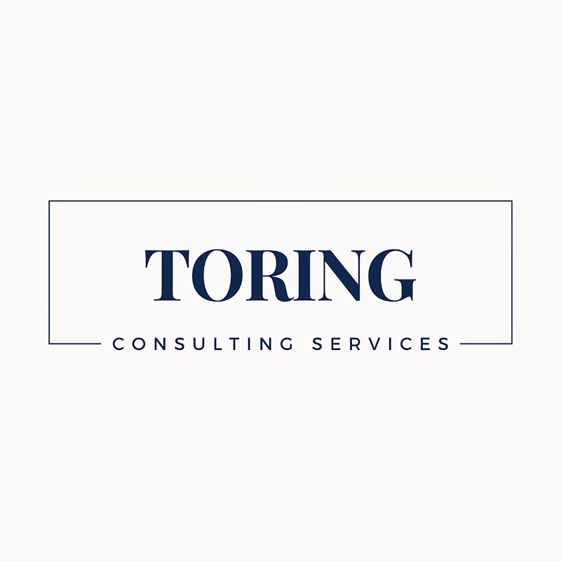 Toring Consulting Services, Inc. photo 3