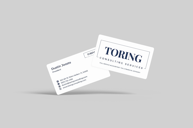 Toring Consulting Services, Inc. photo 5