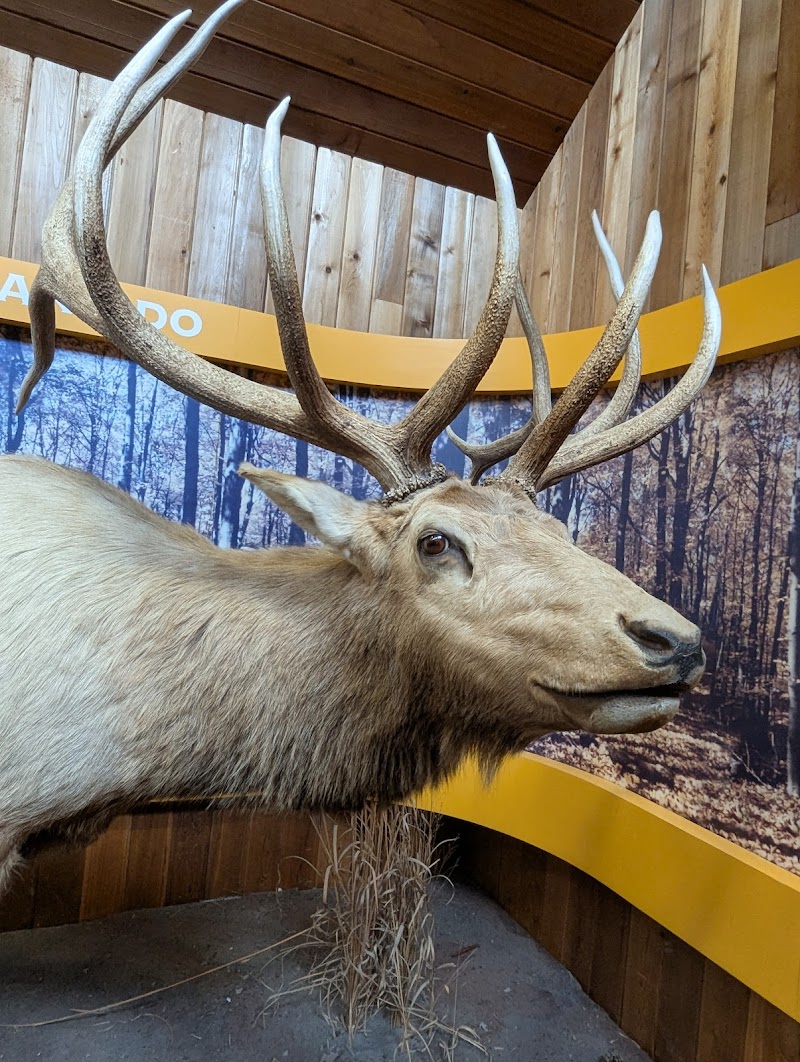 Golden Pond Visitor Center photo 5