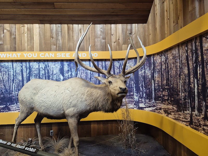 Golden Pond Visitor Center photo 2