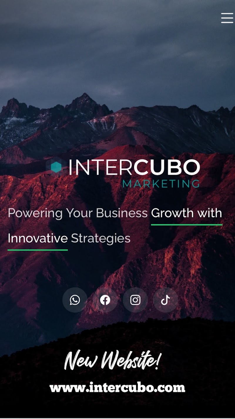 Intercubo Consulting LLC photo 4