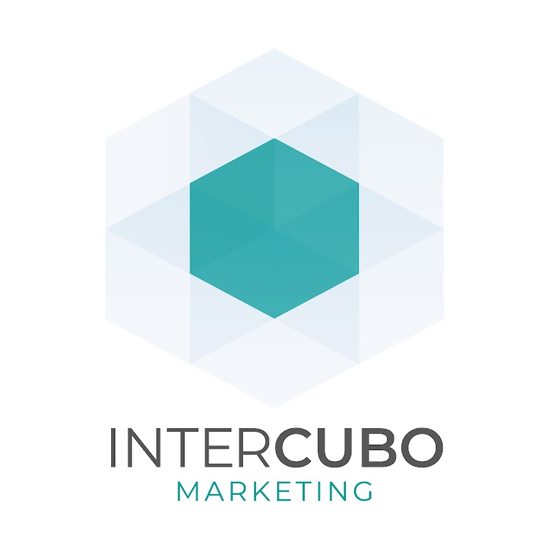 Intercubo Consulting LLC photo 2