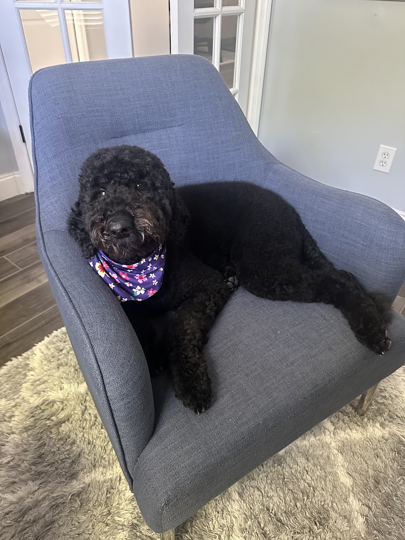 Woof Gang Bakery & Grooming Valrico photo 2