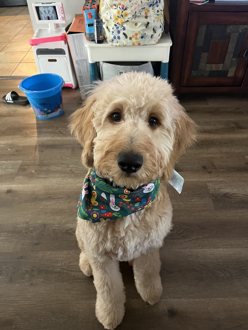 Photo of Woof Gang Bakery & Grooming Valrico