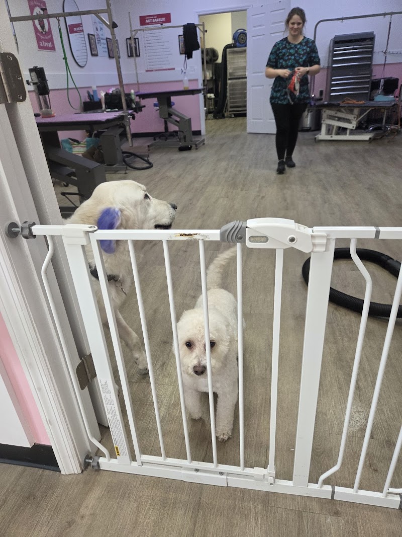 Woof Gang Bakery & Grooming Valrico photo 5