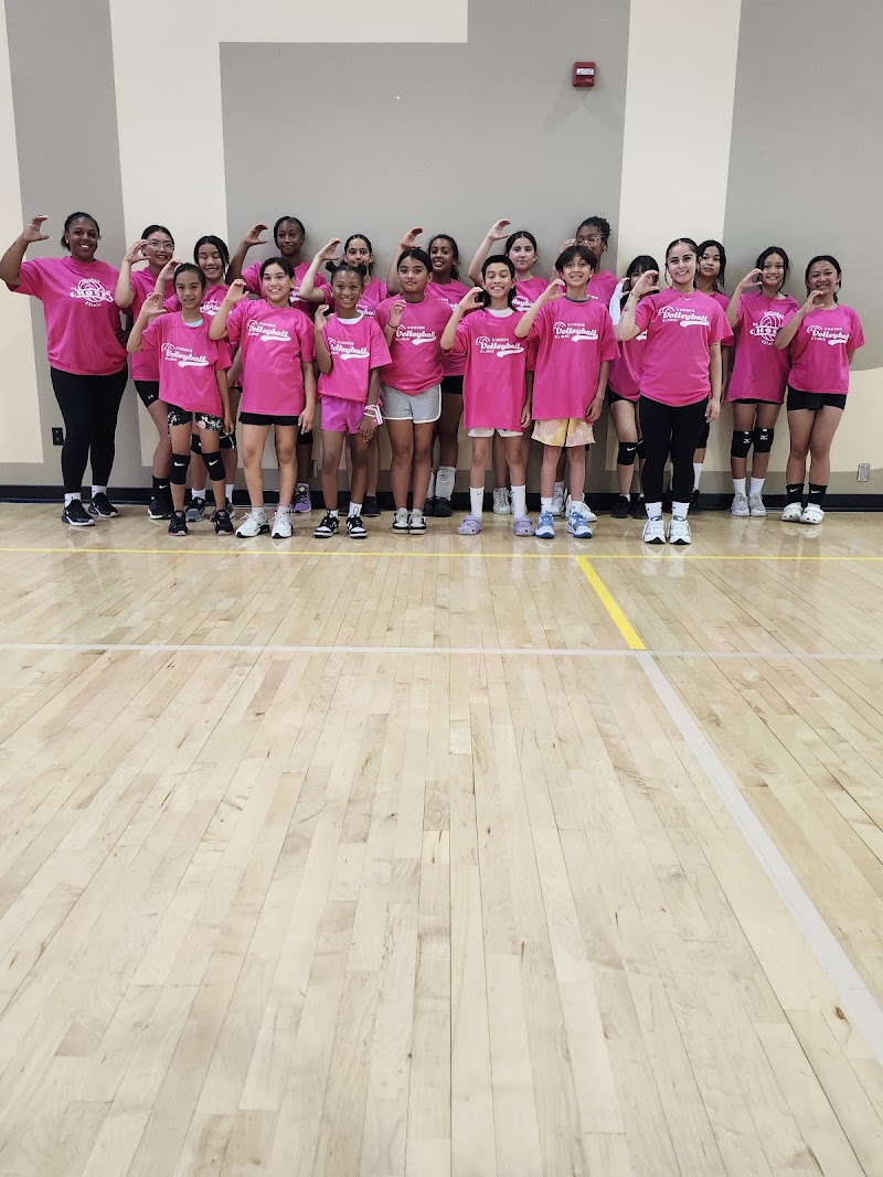 Photo of Chosen Sports Leagues