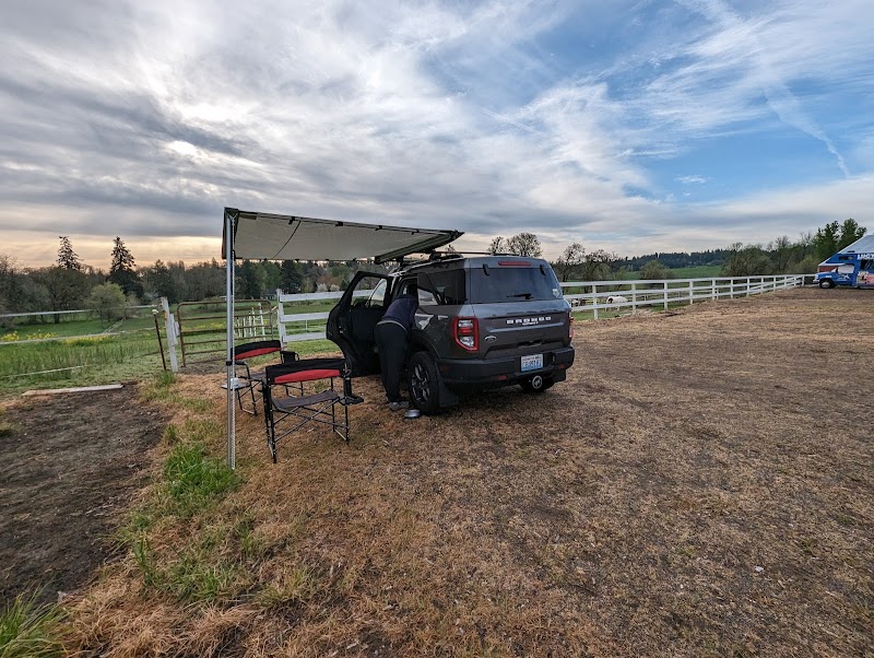 Springhill Boarding Stables photo 4