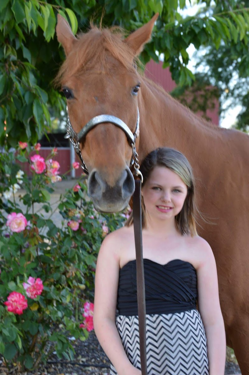 Springhill Boarding Stables photo 5