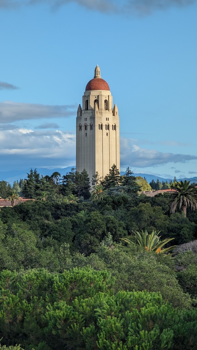 Photo of Bowes Art & Architecture Library