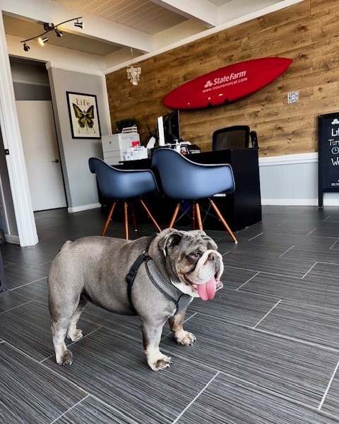 Jaymi Wessell - State Farm Insurance Agent photo 3