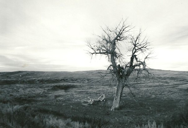 Sebastopol photo 4