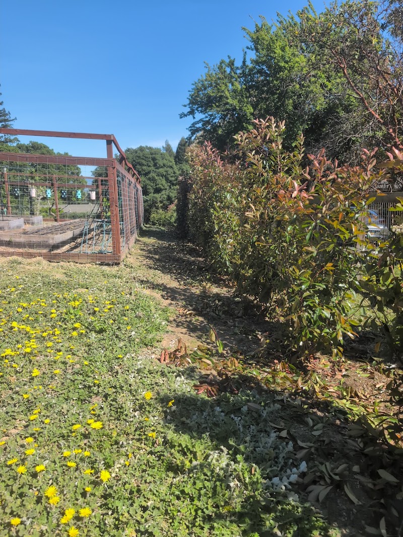 Sebastopol photo 2