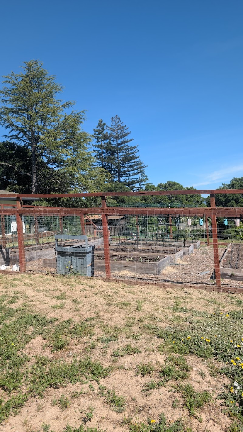 Photo of Sebastopol