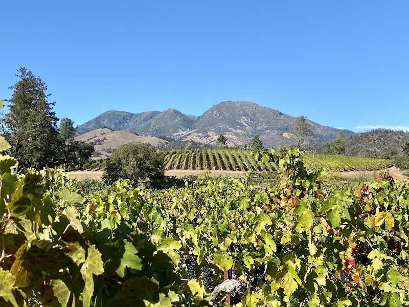 Photo of Tamara's Vineyard