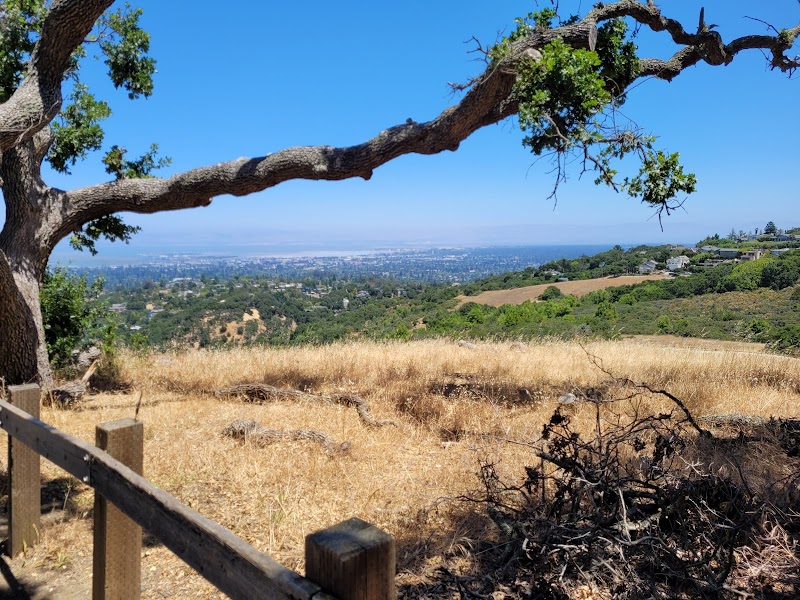 Photo of Mountain top viewpoint