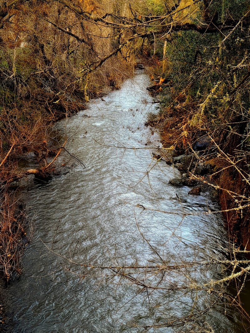 Jacob Meily Park photo 5