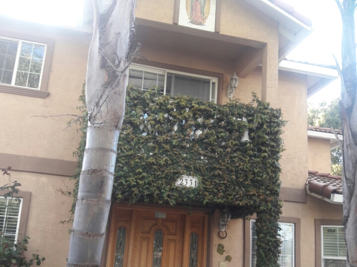 Photo of University Ave & Runnymede St