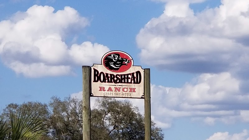 Boarshead Ranch photo 4
