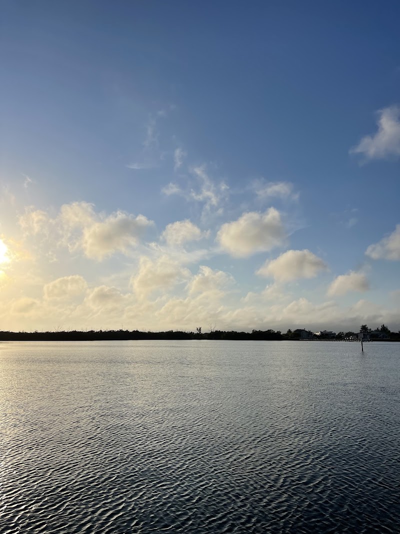 Photo of Palma Sola Fishing Pier