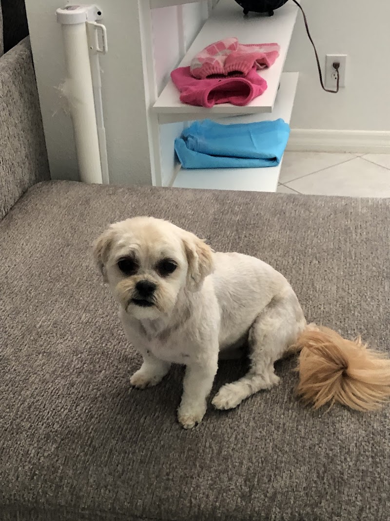 Colleens Pet Grooming photo 3