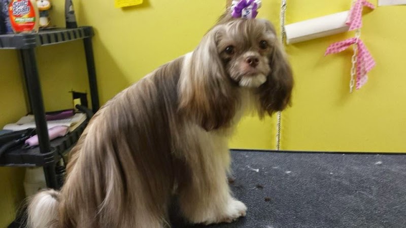 Photo of Colleens Pet Grooming
