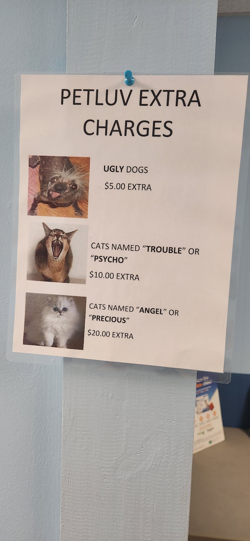 Photo of Pet Luv Non Profit Spay Center