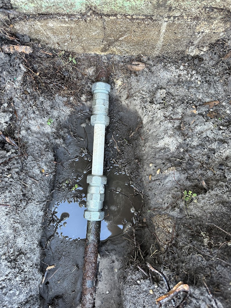 LocalPro of South Tampa photo 2
