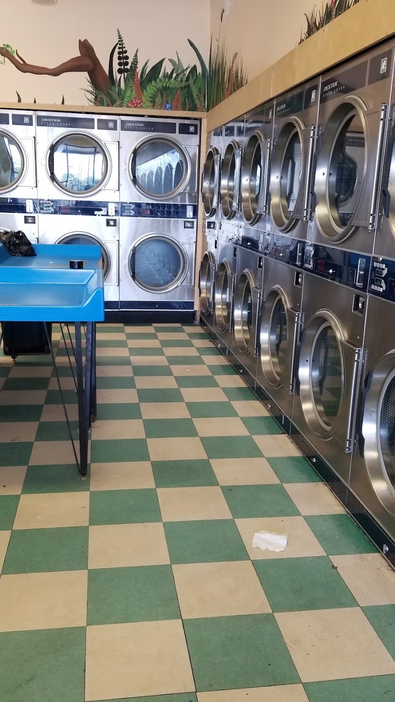 Oasis Laundromat photo 2