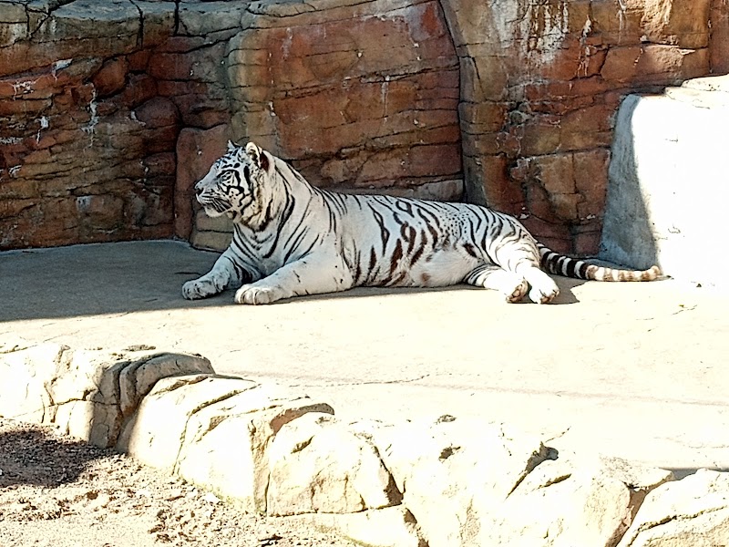 Photo of Irvine Park Zoo