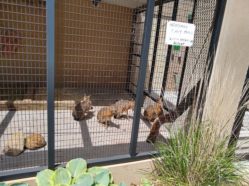 Irvine Park Zoo photo 4